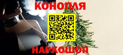 крисы Ставрополь