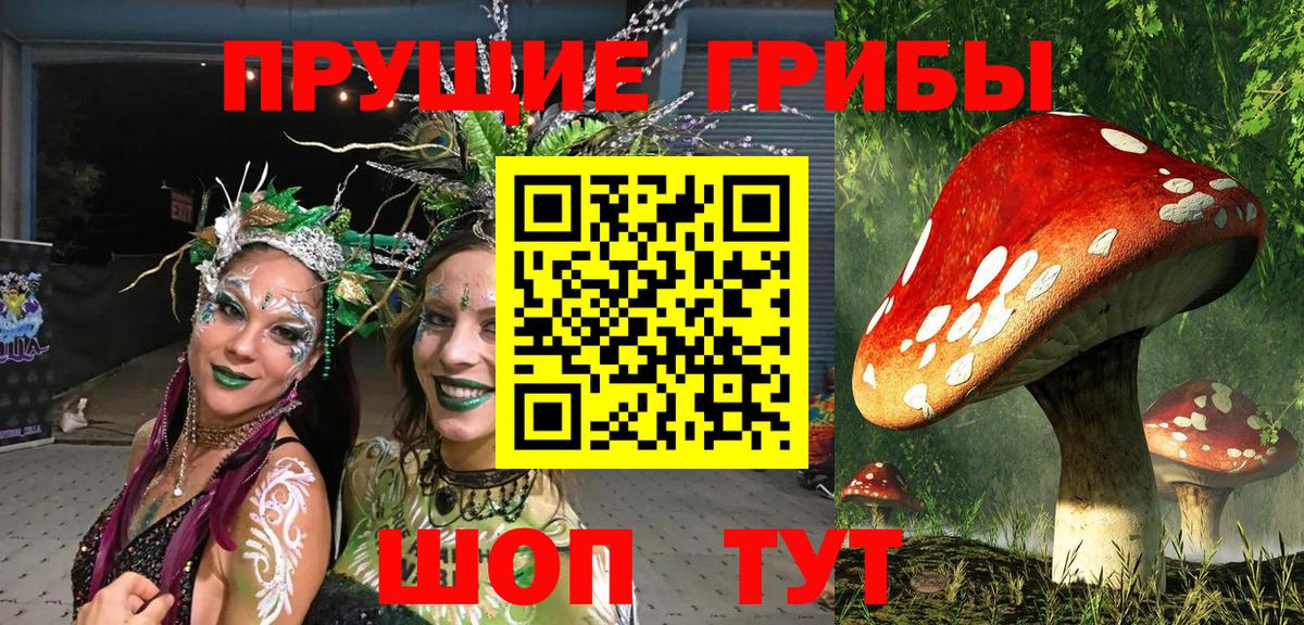 Галлюциногенные грибы ЛСД  Вход с VPN  сколько стоит  Белово 